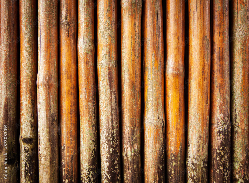 Bamboo wall, The wall is made of bamboo that hit the trunk of the bamboo and then put together the room wall, brown bamboo wall for making advertising background. Bamboo wall, The wall is made of bamboo that hit the trunk of the bamboo and then put together the room wall, brown bamboo wall for making advertising background.