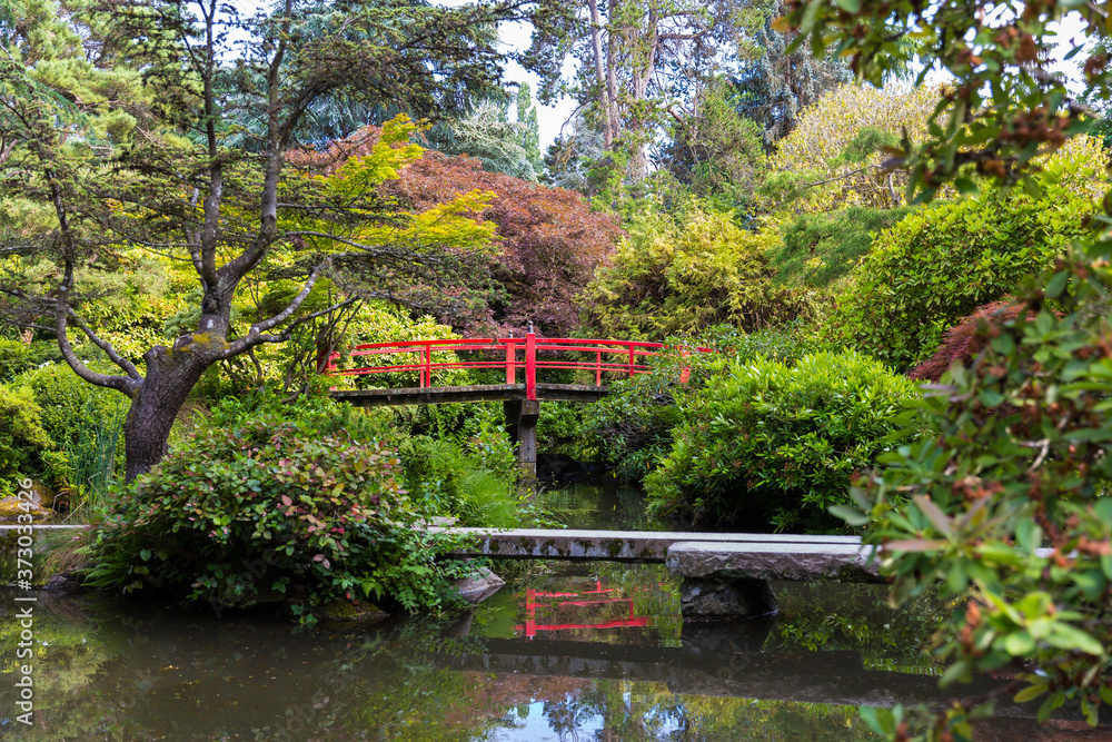 Beautiful Japanese garden
