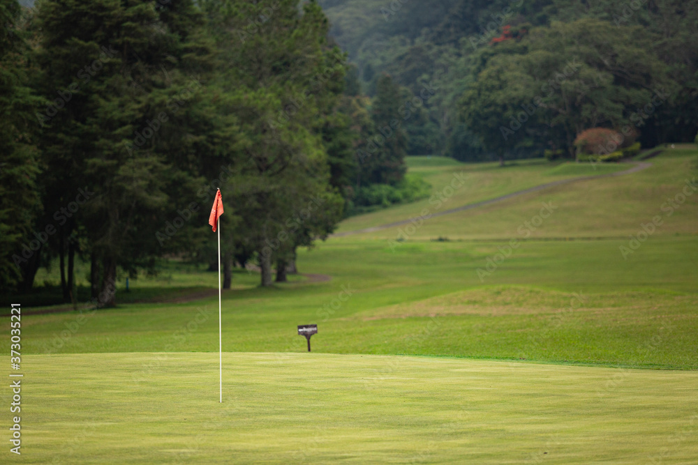 Amazing view of the golf course Amazing view of the golf course