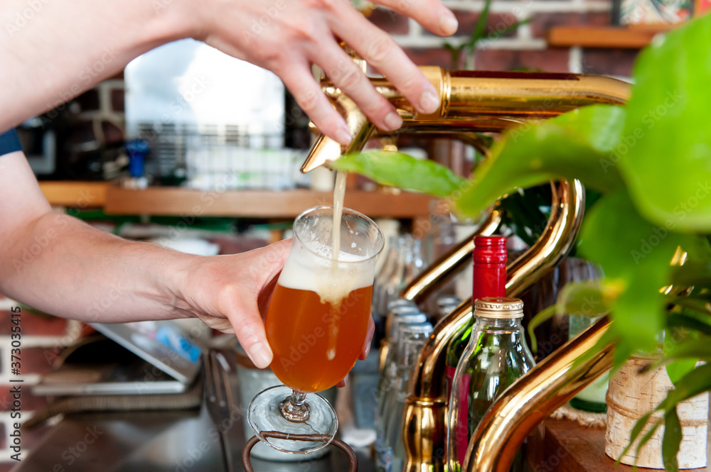 ビールサーバー（ビールタップ）でグラスにビールを注ぐシーン　　