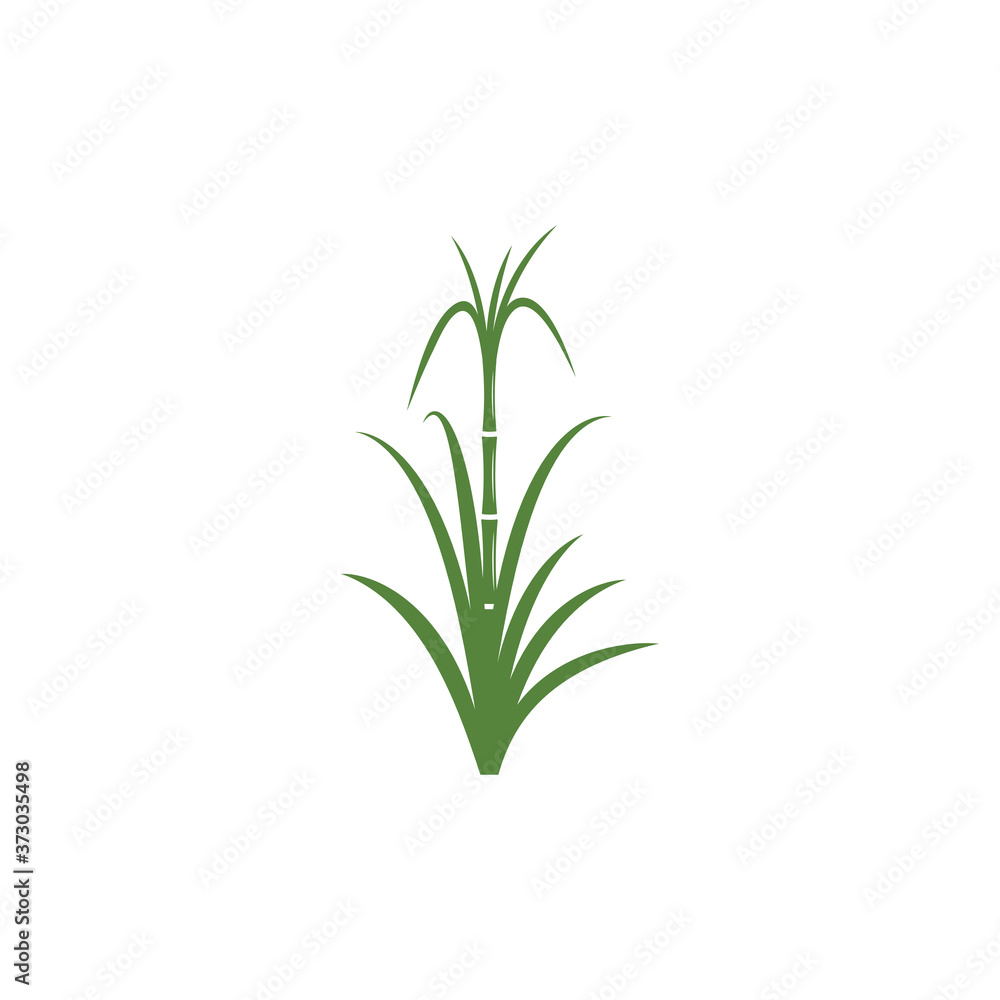 Sugar cane Logo Template vector symbol