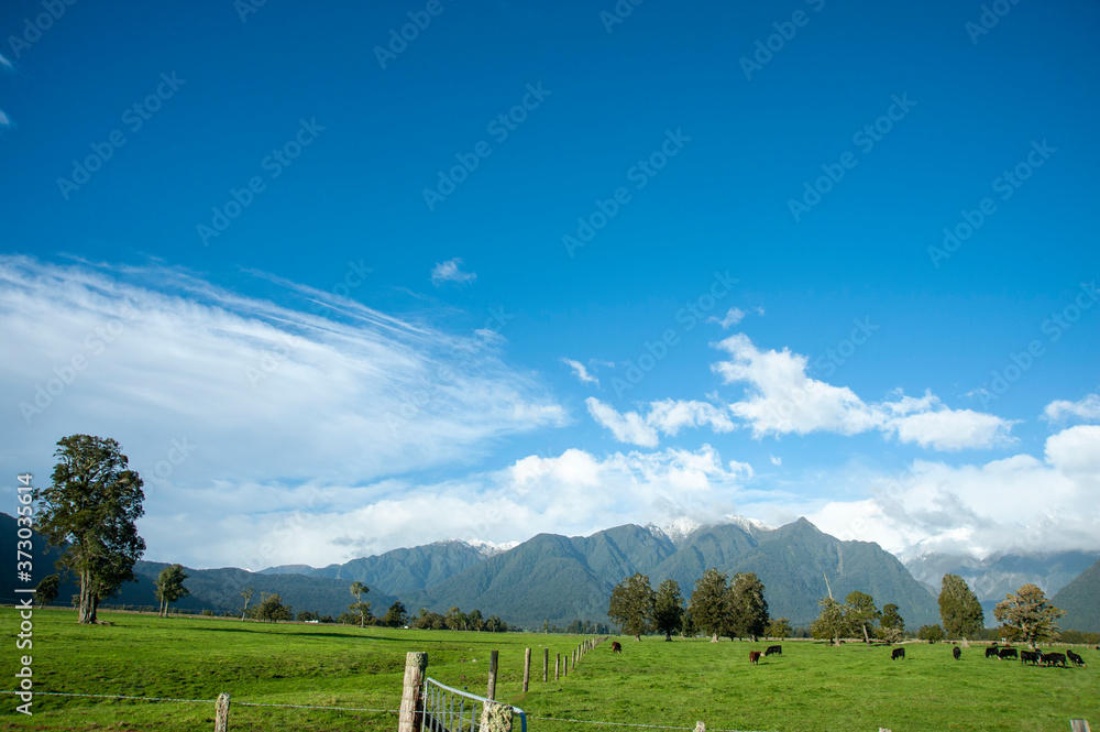 ニュージーランド、南島のレイク・マセソンロードからの景色