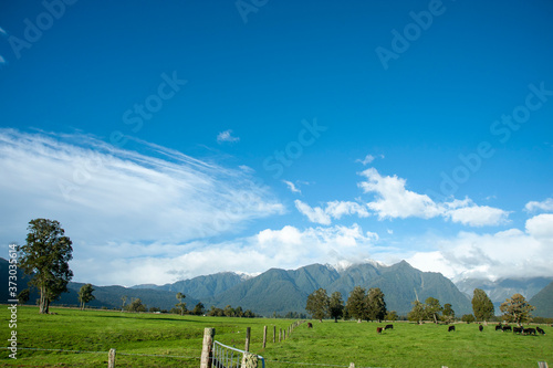 ニュージーランド、南島のレイク・マセソンロードからの景色