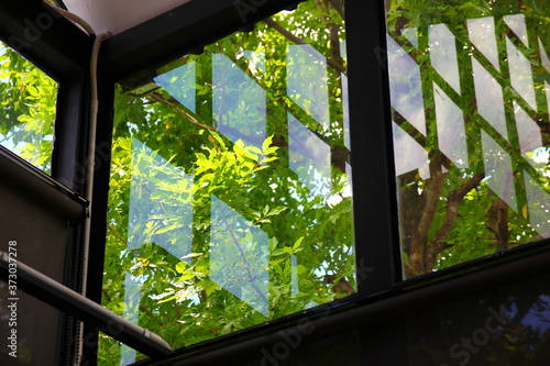 window in the garden with shadow reflection of square windows