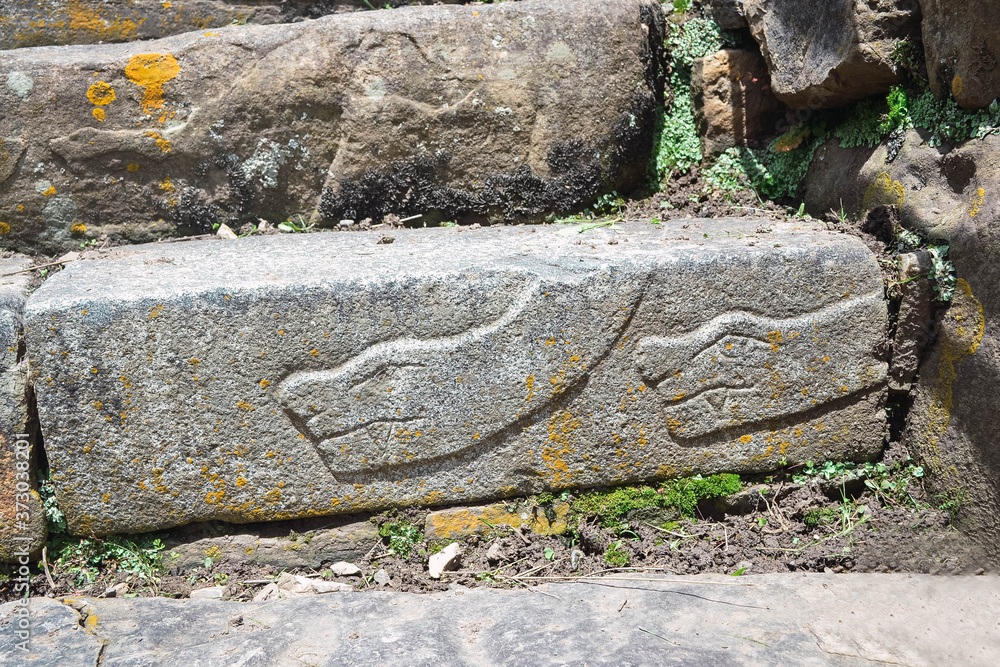 Εκτύπωση καμβά Closeup of the snake carving on stones in Chavin de Huantar located in Peru duri