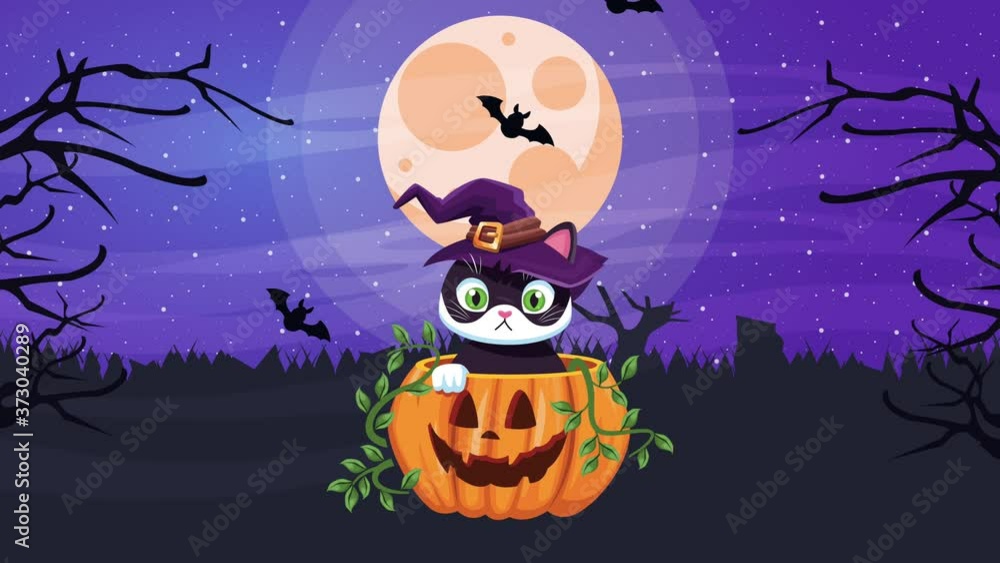 happy halloween animated scene with little cat wearing witch hat in pumpkin happy halloween animated scene with little cat wearing witch hat in pumpkin