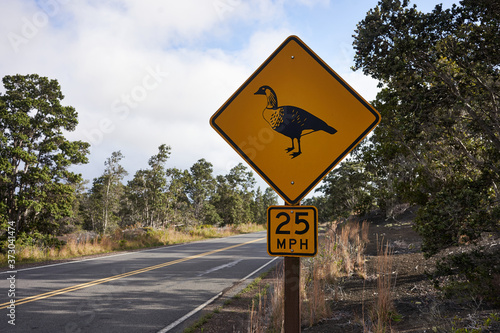 The nene (also known as nēnē and Hawaiian goose) crossing sign and 25 mph suggested speed limit sign on a park road in Hawaii Volcanoes National Park on the Big Island.