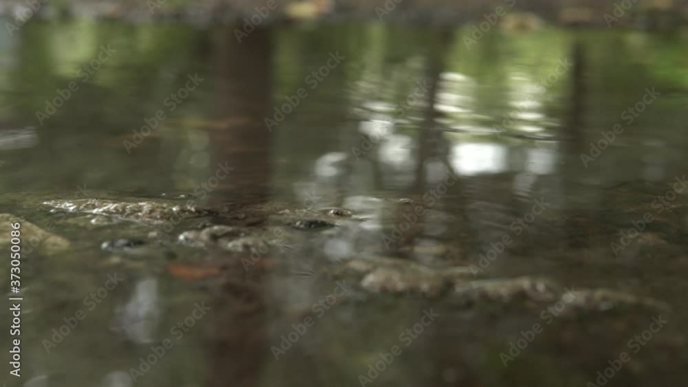 Raindrops make small bubbles in puddles.Rain falling drop in puddle water.4k. Raindrops make small bubbles in puddles.Rain falling drop in puddle water.4k.