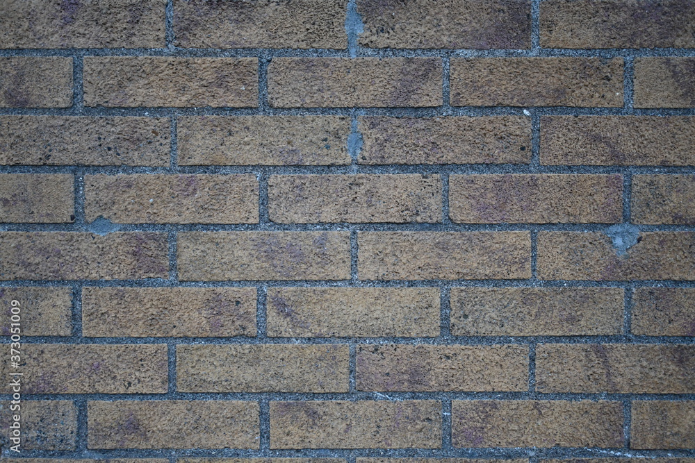 Obraz premium Brick wall in urban area.