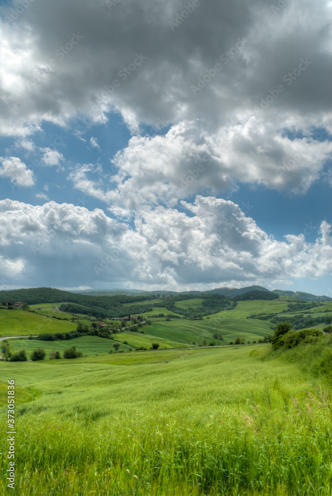 beau paysage de colline en Toscane au printemps avec champ de blé beau paysage de colline en Toscane au printemps avec champ de blé