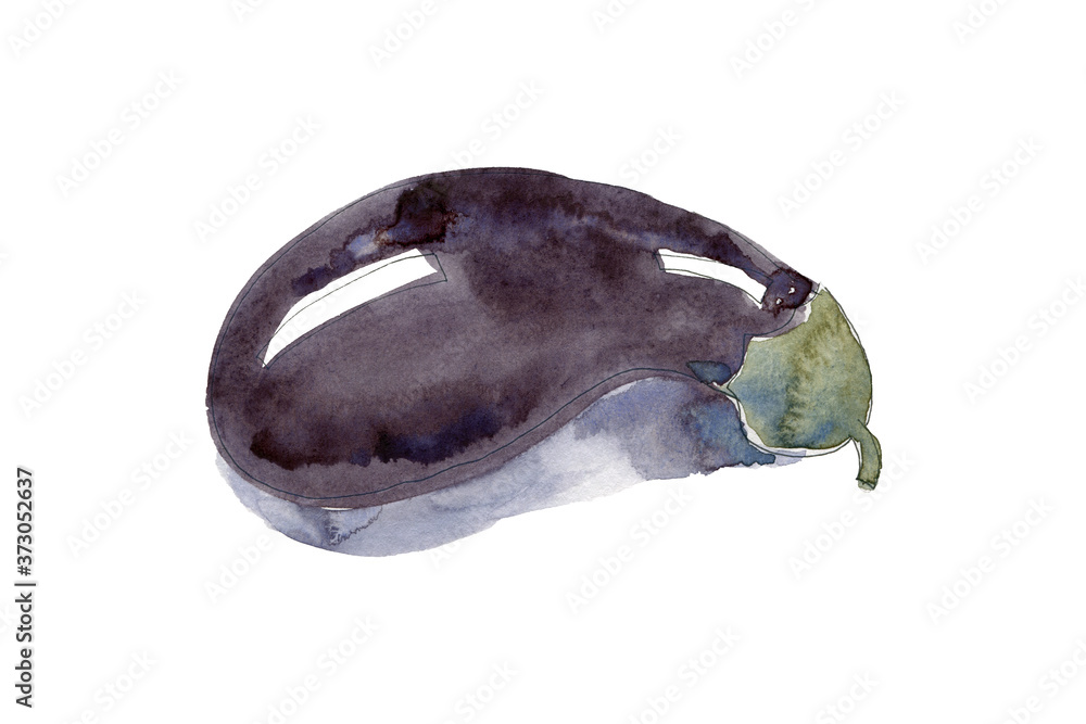 Watercolor hand-drawn. Eggplant. Egg-shaped fruit purple colored. Illustration isolated on white Watercolor hand-drawn. Eggplant. Egg-shaped fruit purple colored. Illustration isolated on white