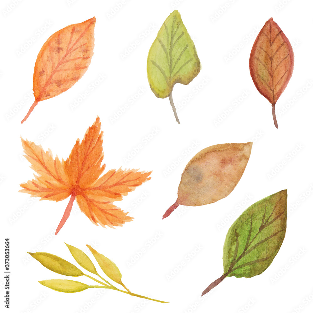 Collection of autumn watercolor leaf Collection of autumn watercolor leaf