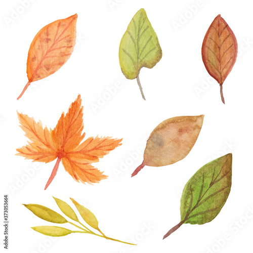 Collection of autumn watercolor leaf