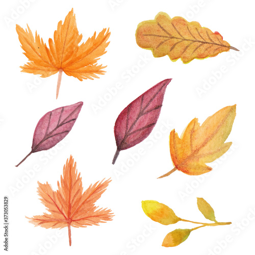 Hand painted autumn leaf in watercolor illustration set
