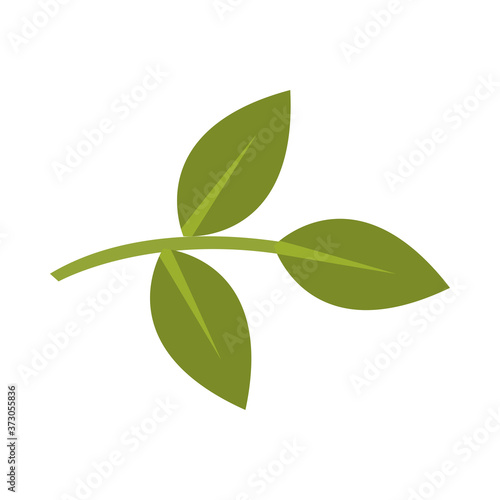 Isolated green leaves vector design