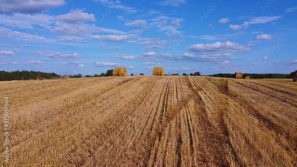 Flying over harvested field with collected hay bales. Landscape field meadow with hay bales after harvest. Flying over harvested field with collected hay bales. Landscape field meadow with hay bales after harvest.