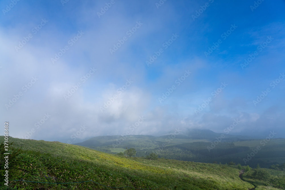 朝霧の車山高原