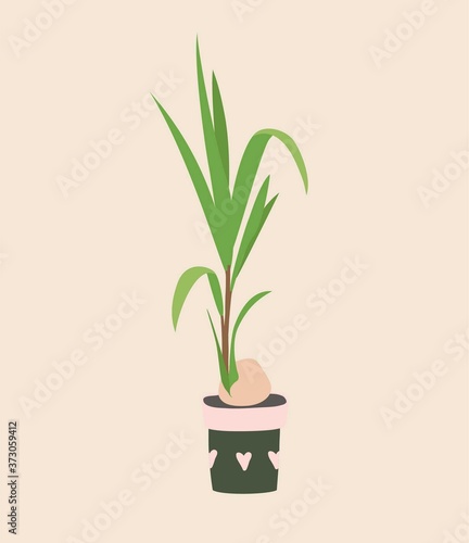 Coconut palm in ceramic flowerpot. Houseplant isolated. Trendy hugge style, urban jungle decor. Hand drawn sketch, naive art. Print, poster, banner, wallpaper. Logo, label. Green, pink pastel colors.