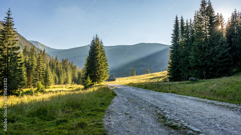 Góry, Polana Chochołowska w Dolinie Chochołowskiej, Tatry Zachodnie