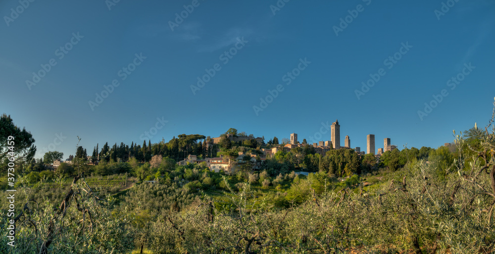 San Gimignano en Toscane devant un champ d'olivier en été