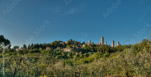 San Gimignano en Toscane devant un champ d'olivier en été © Guillaume Leray