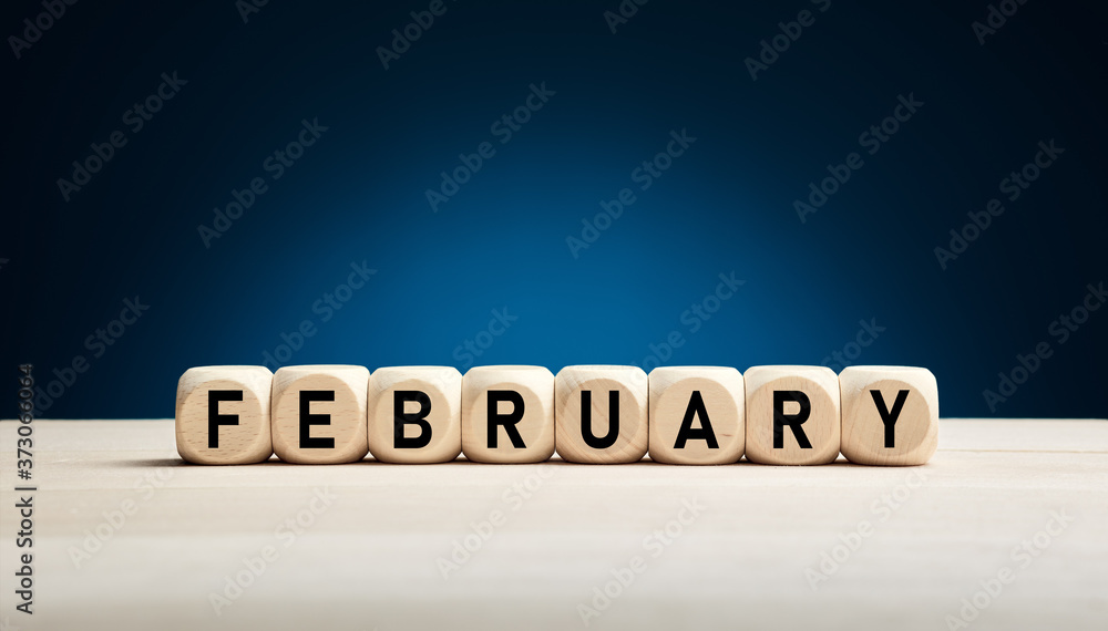The month February written on wooden cubes against blue winter background with copy space. Month of the year. The month February written on wooden cubes against blue winter background with copy space. Month of the year.