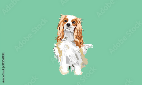 cute dog vector portrait illustration