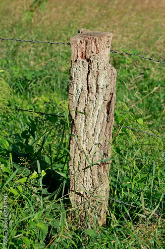 Zaunpfahl aus Holz, Holzzaun, Weidenzaun, Stacheldraht, deutschland photo