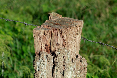 Zaunpfahl aus Holz, Holzzaun, Weidenzaun, Stacheldraht, deutschland photo