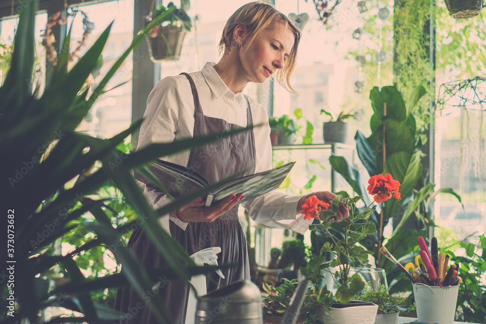 Elegant Florist Studies Information About New Flower. Elegant Florist Studies Information About New Flower.