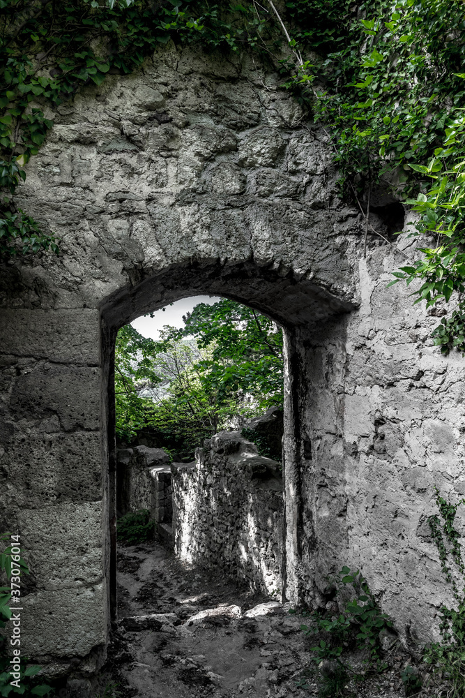 Mystic Door Of Decayed Building Overgrown By Ivy