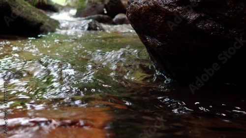 Wallpaper Mural 透明な水が流れる真夏の渓流 Torontodigital.ca