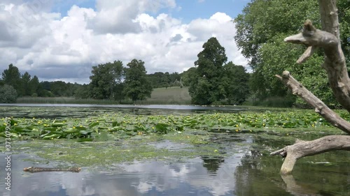 fountain in the park