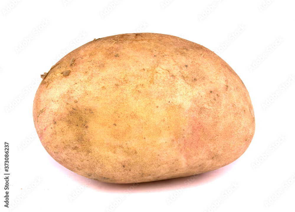 Young potato isolated on white background. Young potato isolated on white background.