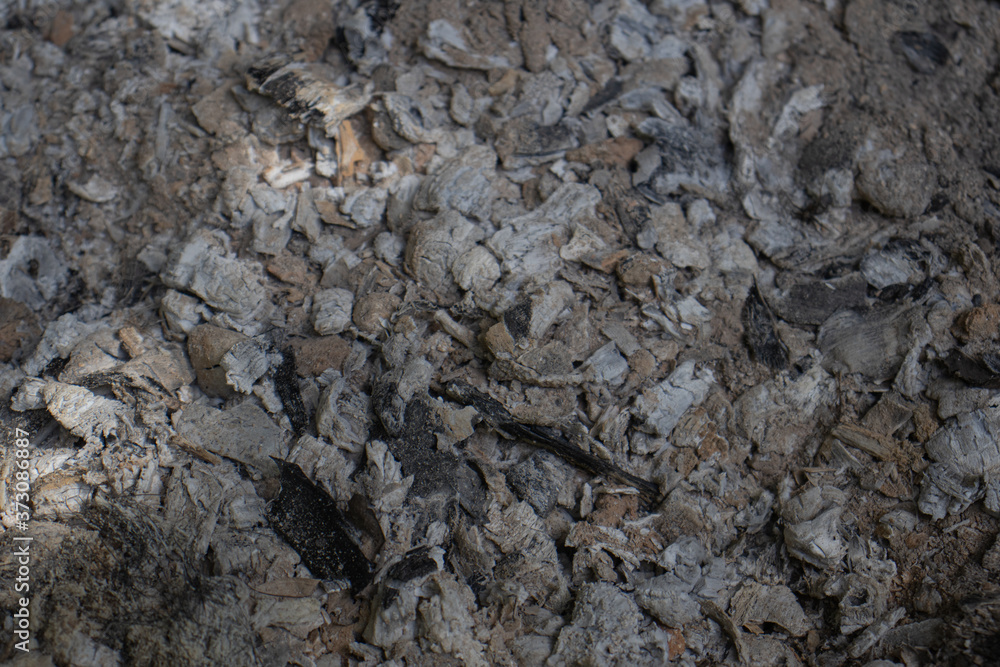 texture of the ash texture of the ash