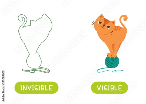 Opposites concept, VISIBLE and INVISIBLE. Word card for language learning. Сat stands on a ball of yarn and silhouette of this cat. Flashcard with antonyms for children vector template. 
