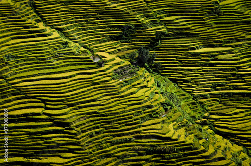 Sticker Scenery of rice terraces in Yunnan province of China