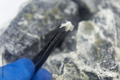 A macro photograph of fibers of the mineral chrysotile asbestos taken from host rock with tweezers