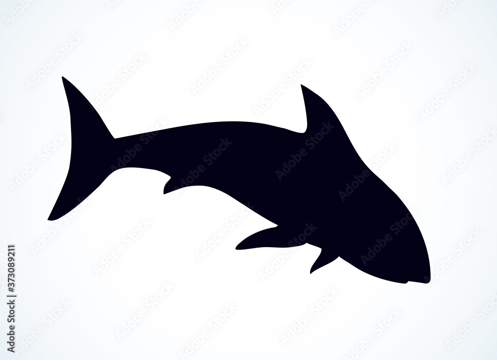 Great gray shark. Vector drawing Great gray shark. Vector drawing