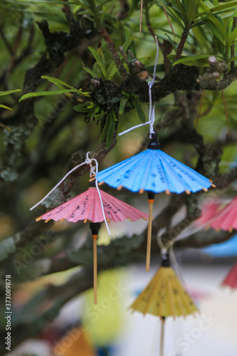 松陰神社 木につるされたおみくじ