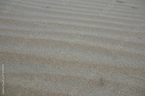 sand beach in La Barrosa, Sancti Petri, Cadiz, Spain photo