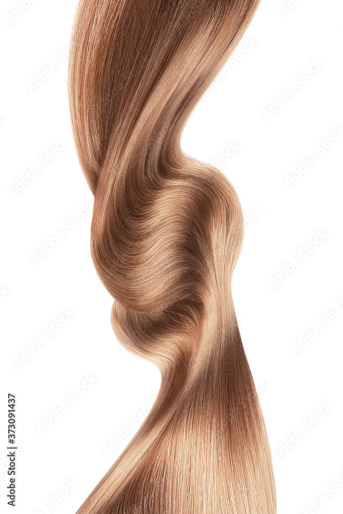 Swirled long brown hair isolated on white background Swirled long brown hair isolated on white background