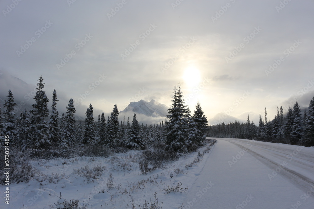 Obraz premium Icefields parkway - Alberta Canada