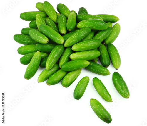 Fresh delicious green Coccinia grandis, ivy gourd known as scarlet gourd, Indian tindora, tindi, tendli and kowai fruit from tropical asia