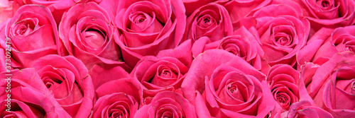 Background of bouquets of flowers. Roses. Close up. Panorama.