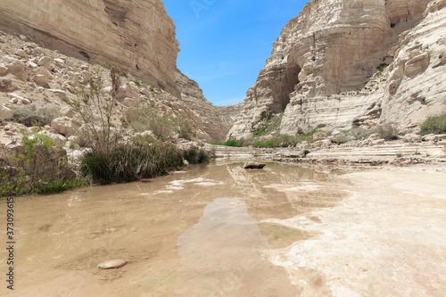 Shallow creek in canyon Ein Avdat photo