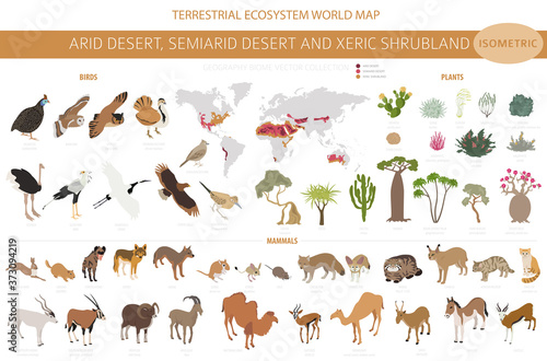 Desert biome, xeric shrubland biome, natural region infographic. Terrestrial ecosystem world map. Animals, birds and vegetations isometric design set photo
