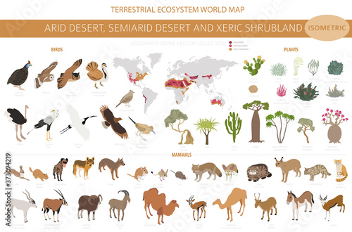 Desert biome, xeric shrubland biome, natural region infographic. Terrestrial ecosystem world map. Animals, birds and vegetations isometric design set