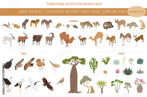 Desert biome, xeric shrubland biome, natural region infographic. Terrestrial ecosystem world map. Animals, birds and vegetations isometric design set photo