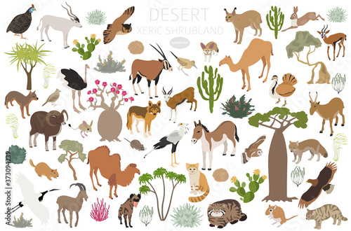 Desert biome  xeric shrubland biome  natural region infographic. Terrestrial ecosystem world map. Animals  birds and vegetations isometric design set